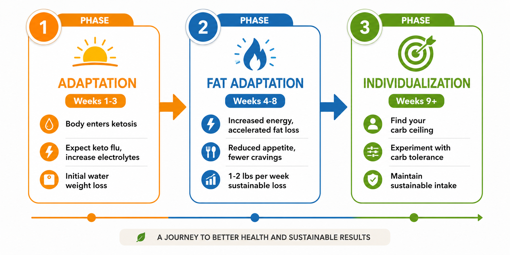 Timeline infographic showing three phases of low carb diet: Phase 1 Adaptation (Weeks 1-3, body enters ketosis), Phase 2 Fat Adaptation (Weeks 4-8, increased energy, accelerated weight loss), Phase 3 Individualization (Weeks 9+, establish personal carb tolerance, maintain results), weekly weight loss progression shown with arrow