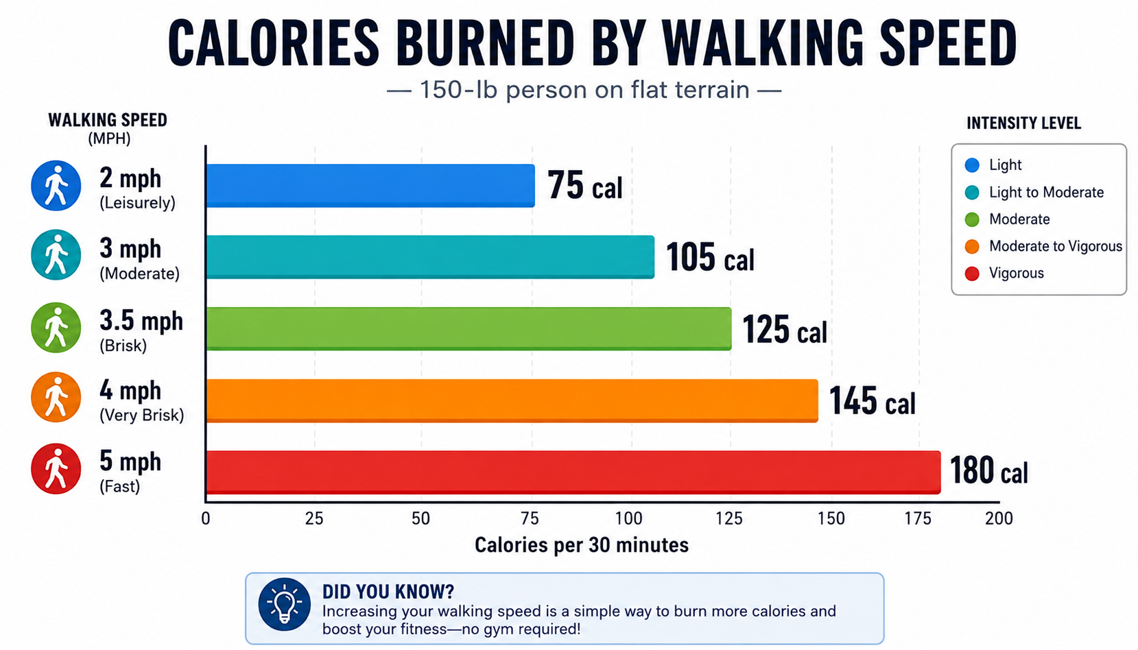 Bar chart displaying calories burned during 30-minute walks at
different speeds (2 to 5 mph) for a 150-pound person, showing
the relationship between pace and energy expenditure.